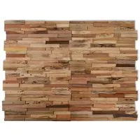 vidaXL Wandpaneel Wandplatten 10 Stk. 1,03 m² Massivholz Altholz, (10-tlg)