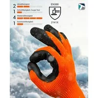 Worklink Winter-Arbeitshandschuhe 12 Paar Winterarbeitshandschuhe Winter Draco Größe 9 (12 Paar Winterarbeitshandschuhe Winter Draco)