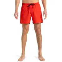Quiksilver Boardshorts Everyday Solid Volley 15"