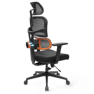 NEWTRAL NT001 Ergonomic Office Chair High Back Desk Chair Standard Version with Unique Adjustable Lumbar Support Adjusta