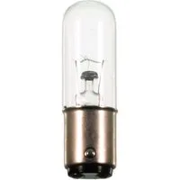 Scharnberger + Hasenbein UVC-Leuchtmittel Scharnberger+Hasenbein Röhrenlampe 16x54mm Ba15D 220-260V10-15W 25791