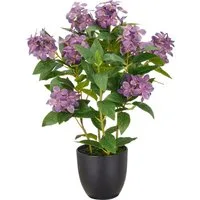 Kunstpflanze Hortensie paniculata, Creativ green, Höhe 60 cm, mit 8 Real-Touch-Blüten