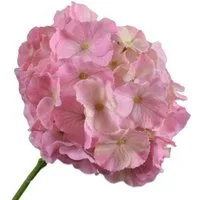 Künstliche Zimmerpflanze Seidenblume Hortensie Hydrangea Pink (75cm), SILK-KA