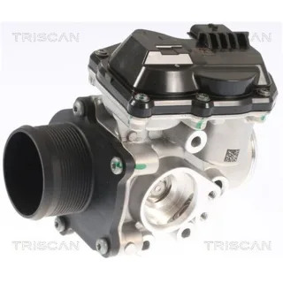 Triscan AGR-Ventil Ford Edge Ford Focus Galaxy Kuga Mondeo S-Max 2,0
