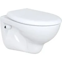Belvit Tiefspül-WC UNI+Deckel, WC Toilette Hänge Wand WC (RosenStern) mit Soft-Close Deckel