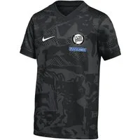 Nike T-Shirt Nike Performance Polyester