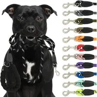 Reichstadt Hundeleine RS Pets Führleine Nylon 25RSP084, Nylon, Ergonomischer EVA-gepolsterter Griff für Blasenschutz