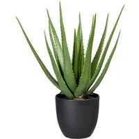 Künstliche Zimmerpflanze Aloe, Creativ green, Höhe 55 cm