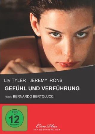 Gefühl und Verführung - Stealing Beauty [DVD] [2007]