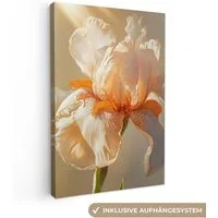 OneMillionCanvasses® Leinwandbild Nahaufnahme - Orange - Iris, Fotodruck (1 St), Leinwand Canvas Wandbild, Wanddekoration 20x30 cm