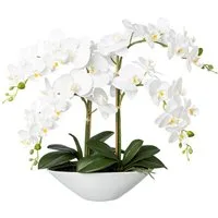 Kunstblume Kunstorchidee Deko-Orchidee Phalaenopsis in Keramikschale, Höhe 53 cm, Creativ green