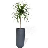 Köhko Pflanzkübel KÖHKO® Blumenkübel aus Fieberglas Pflanzkübel Rund Übertopf