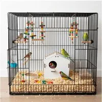 Jungengel Vogelhaus Nistkasten Stecksystem Holz für Wellensittiche & Finken Vogelhäuschen, Einfacher Aufbau, Robust & Langlebig, 100% Holz, Ideal kleine Vögel