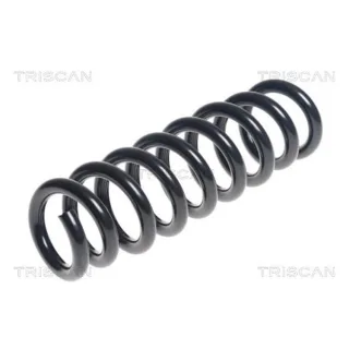 Triscan Feder hinten BMW 3er 4er 875011201