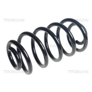 Triscan Feder hinten Mercedes Vito 875023227