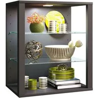 VCM Hängevitrine Holz Glas Stand Vitrine Sammelvitrine Glasol SW