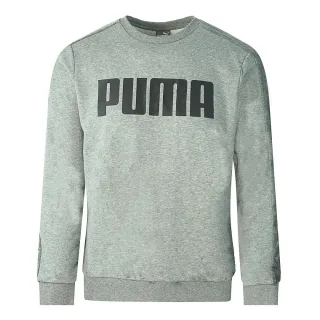 Puma Velvet Taped Logo Grau Sweatshirt