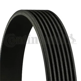 Conti Keilrippenriemen Mercedes G-Klasse S-Klasse Sl