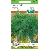 SAMEN PFANN Kräutersamen Dill, Tetra - Dill-Samen Kräuter-Samen Gewürz Saatgut Samen, Anethum graveolens