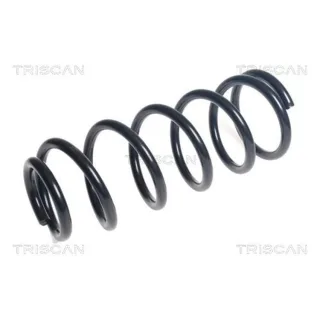 Triscan Feder hinten Nissan Navara 2,3