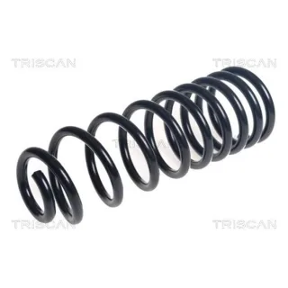 Triscan Feder hinten Ford Transit 875016163