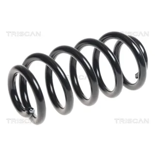 Triscan Feder vorne Audi A6 C6 875029352