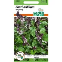 SAMEN PFANN Kräutersamen Zimt-Basilikum - Geschmack süß-zimtig-exotisch, Kräuter-Samen Gewürz, Ocimum basilicum