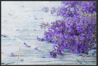Fussmatte Lavendel 4611 | Größe: 60 cm x 45 cm