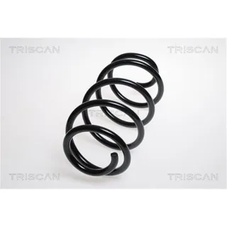 Triscan Feder vorne Audi Seat Skoda VW 875029260
