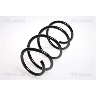 Triscan Feder vorne BMW 5er E60 87501175