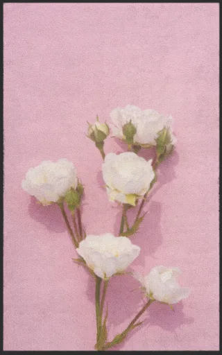 Fussmatte 7298 | Größe: 60 cm x 90 cm