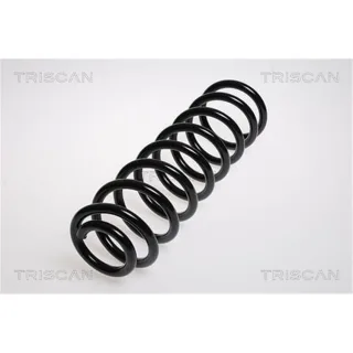 Triscan Feder vorne Mercedes E-Klasse W211 87502391