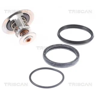 Triscan Thermostat Audi Seat Skoda VW 862046392