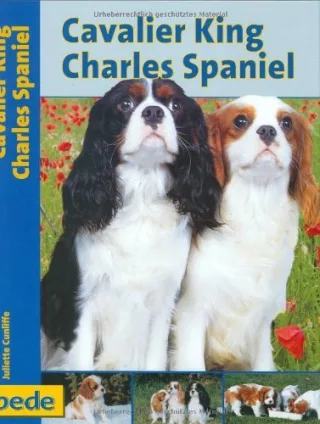 Cavalier King Charles Spaniel Praxisratgeber