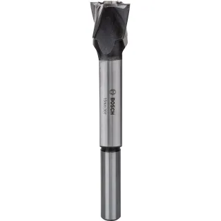 Bosch Scheibenschneider, 10 mm, 140 mm - 2608585744