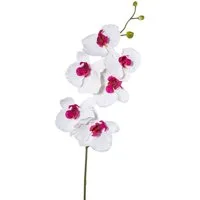 Kunstorchidee Kunstblume Phalaenopsis, künstlicher Orchideen-Zweig 76cm, Gasper, Höhe 76.00 cm