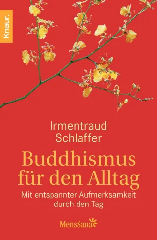 Buddhismus für den Alltag. Mit entspannter Aufmerksamkeit durch den Tag
