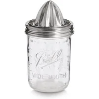 Zeller Present Glas Saftpresse, Soda Lime Glas/Edelstahl 304, 450 ml, /Edelstahl