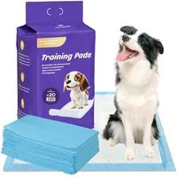 NANIPETS Hundematte Trainingspad für Hunde Welpenunterlagen, Superabsorbierendes & Auslaufsichere Wickelunterlagen, 60 x 90 cm Extra Große, Dicke Pet Pads, Packung mit 20