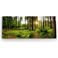 möbel-direkt.de Leinwandbild Fichtenwald Wald Grün Sonnenstrahlen Natur Bäume