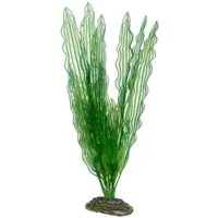 HOBBY Aquariendeko Aponogeton 39 cm - künstliche Aquariumpflanze