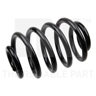 NK Feder hinten Renault Clio 2 543922