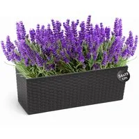 KONZEPT Balkonkasten Hochwertige Blumenkasten Rattan-Optikin, rechteckig 56 x 19 cm, Balkonkasten ideal fur Balkon, Terrasse, Fensterbank