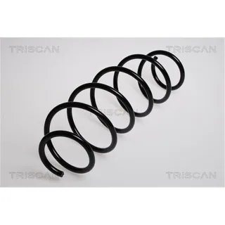 Triscan Feder vorne Citroen C3 1,4 87502863