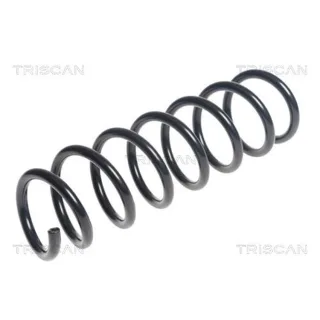Triscan Feder vorne BMW 5er F10 875011156