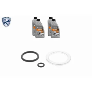 Vaico Teilesatz f?r ?lwechsel-Automatikgetriebe Alfa Cadillac Citroen Opel Peugeot Volvo V40-1605