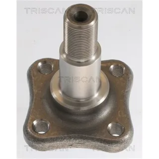 Triscan Radnabe Hinten Dacia Logan Renault Clio Logan Thalia