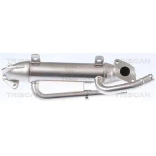 Triscan AGR-K?hler Audi A4 Skoda Superb VW Passat