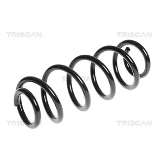 Triscan Feder hinten Fiat Sedici Suzuki Sx4 87506947