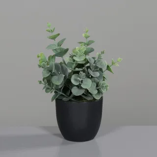 Kunstpflanze EUCALYPTHUS